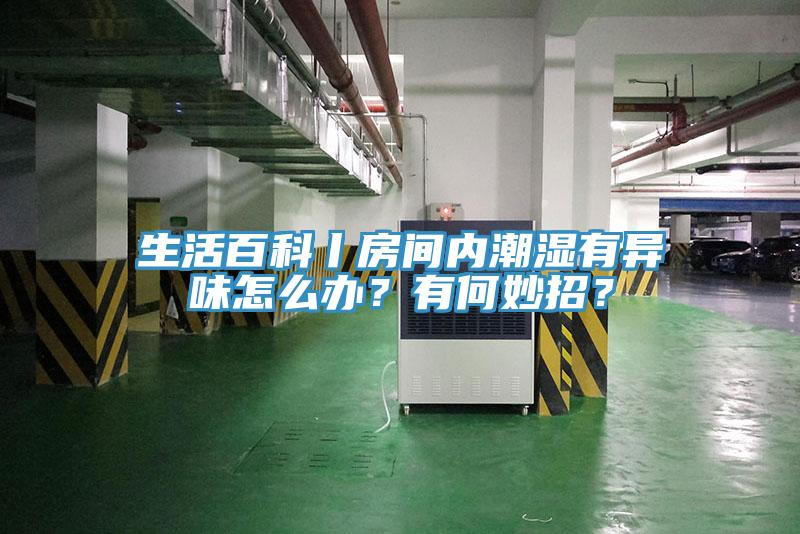 生活百科丨房间内潮湿有异味怎么办？有何妙招？