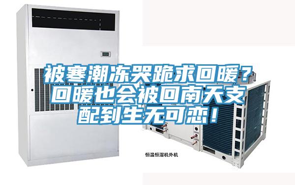 被寒潮冻哭跪求回暖？回暖也会被回南天支配到生无可恋！