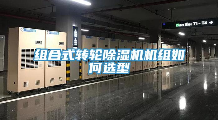 组合式转轮好色先生免费APP机组如何选型