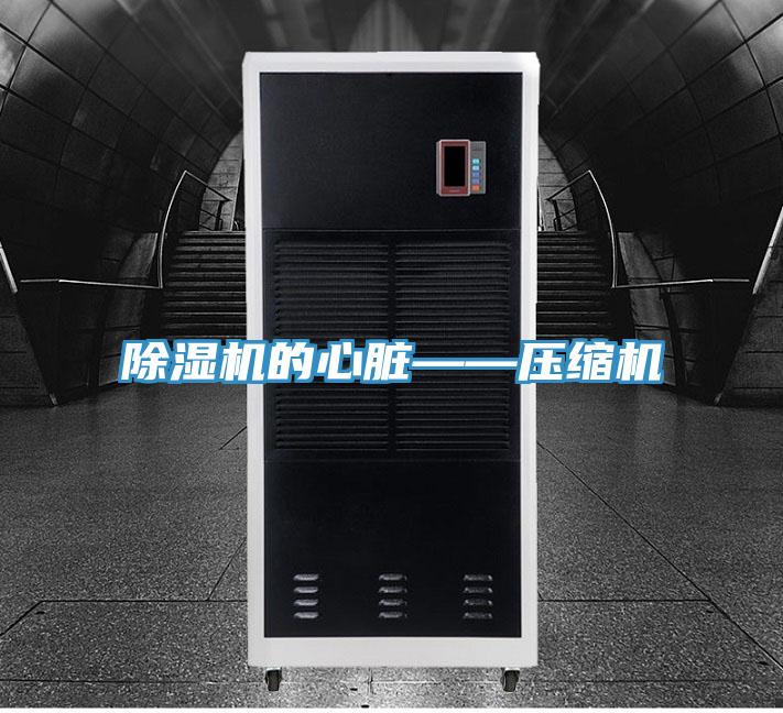 好色先生免费APP的心脏——压缩机