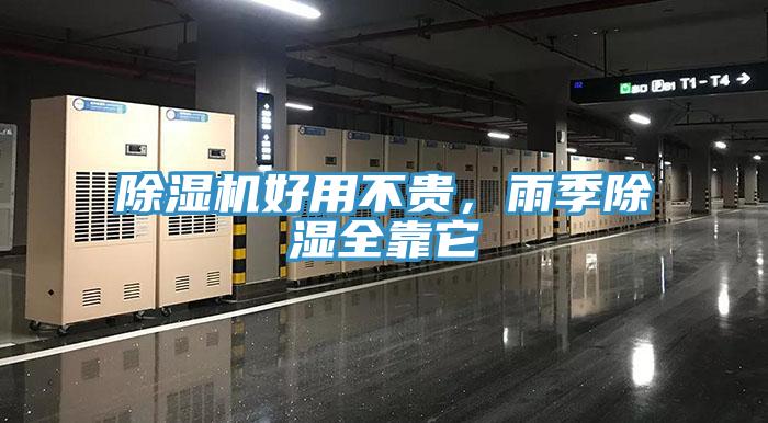 好色先生免费APP好用不贵，雨季除湿全靠它