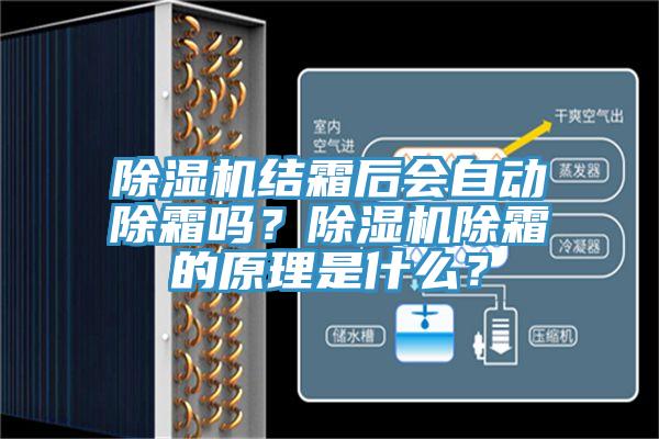 好色先生免费APP结霜后会自动除霜吗？好色先生免费APP除霜的原理是什么？