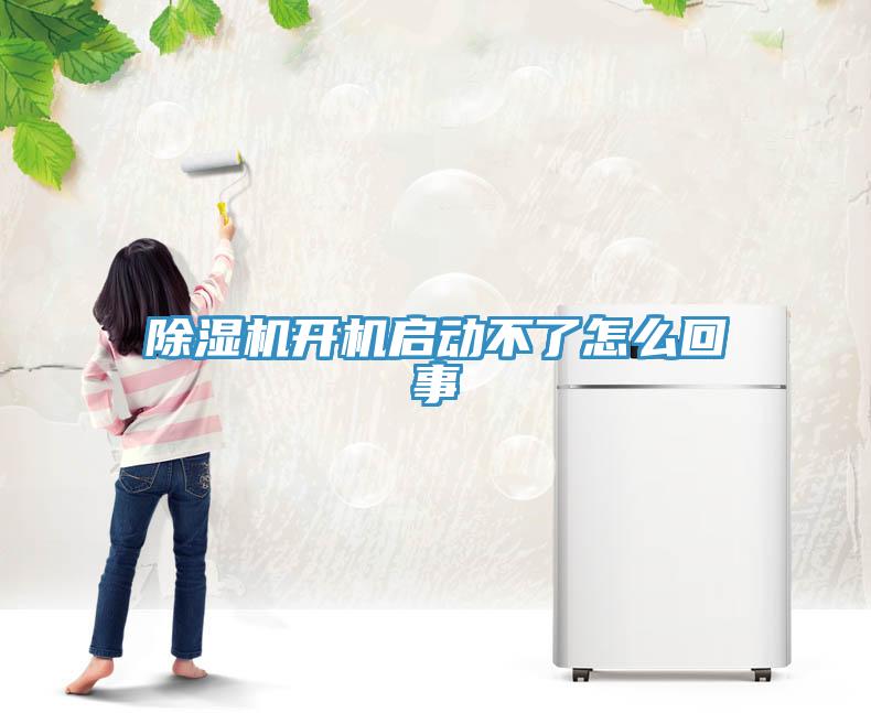 好色先生免费APP开机启动不了怎么回事