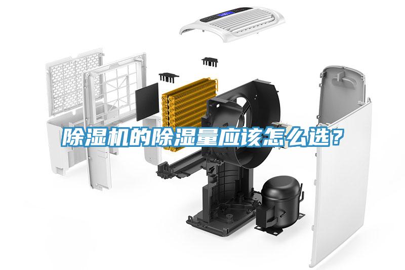 好色先生免费APP的除湿量应该怎么选？