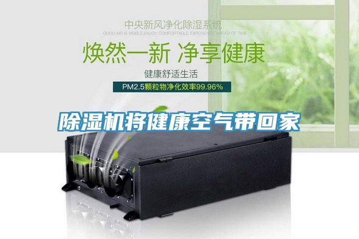 好色先生免费APP将健康空气带回家