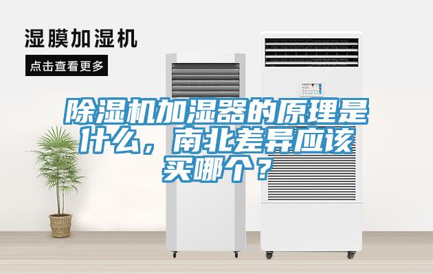 好色先生免费APP加湿器的原理是什么，南北差异应该买哪个？