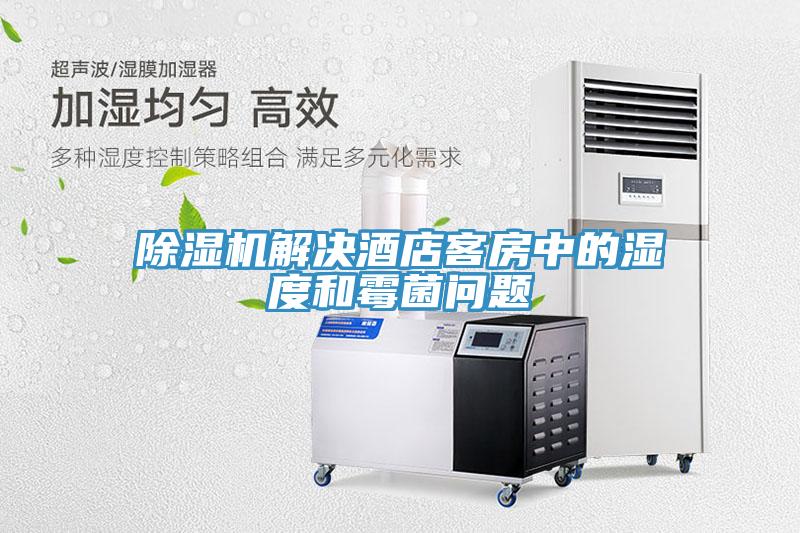 好色先生免费APP解决酒店客房中的湿度和霉菌问题
