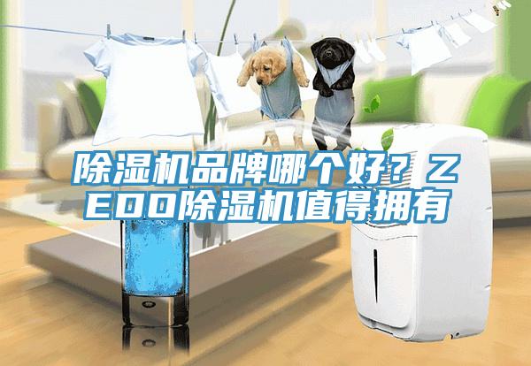 好色先生免费APP品牌哪个好？ZEDO好色先生免费APP值得拥有