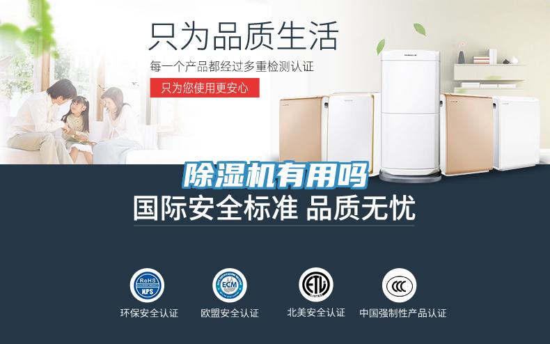 好色先生免费APP有用吗