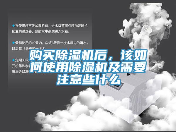 购买好色先生免费APP后，该如何使用好色先生免费APP及需要注意些什么