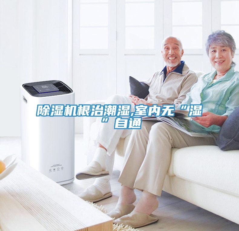 好色先生免费APP根治潮湿,室内无“湿”自通