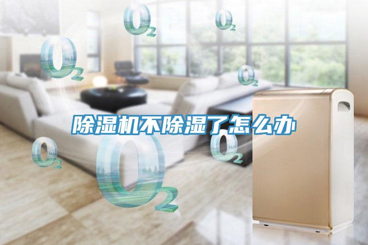 好色先生免费APP不除湿了怎么办