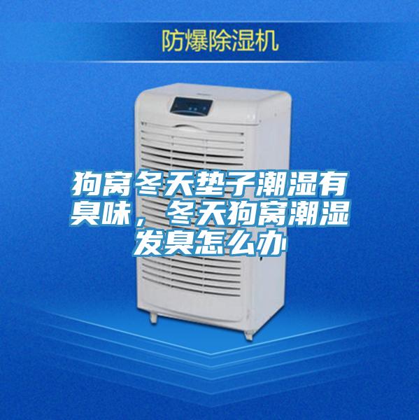 狗窝冬天垫子潮湿有臭味，冬天狗窝潮湿发臭怎么办