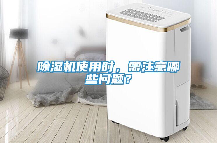 好色先生免费APP使用时，需注意哪些问题？