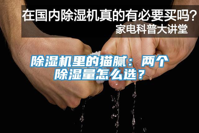 好色先生免费APP里的猫腻：两个除湿量怎么选？