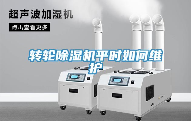 转轮好色先生免费APP平时如何维护
