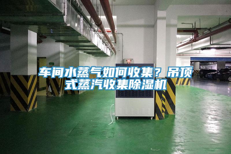 车间水蒸气如何收集？吊顶式蒸汽收集好色先生免费APP