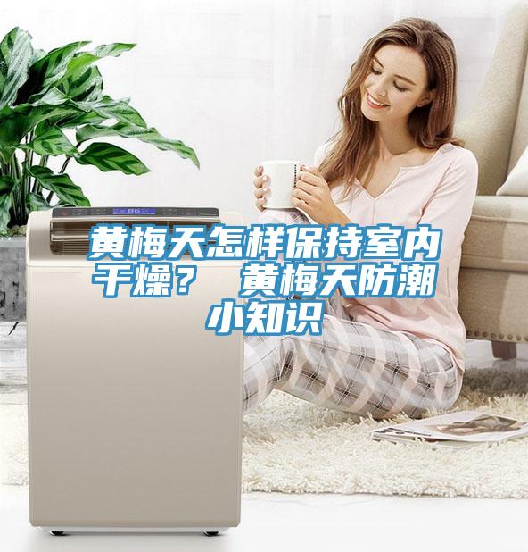 黄梅天怎样保持室内干燥？ 黄梅天防潮小知识