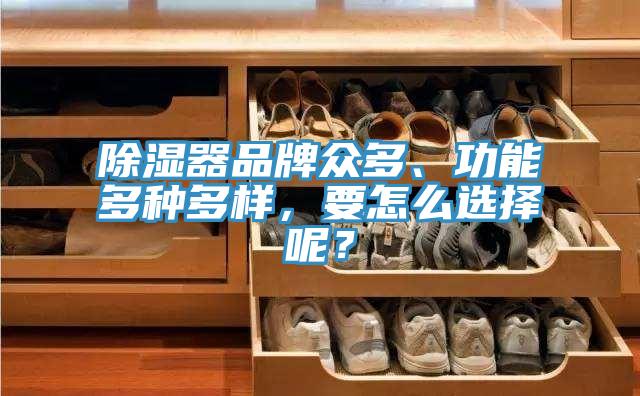 除湿器品牌众多、功能多种多样，要怎么选择呢？