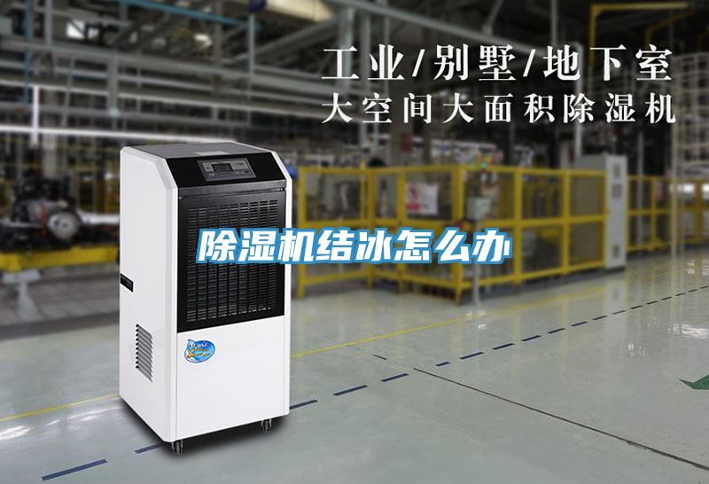 好色先生免费APP结冰怎么办