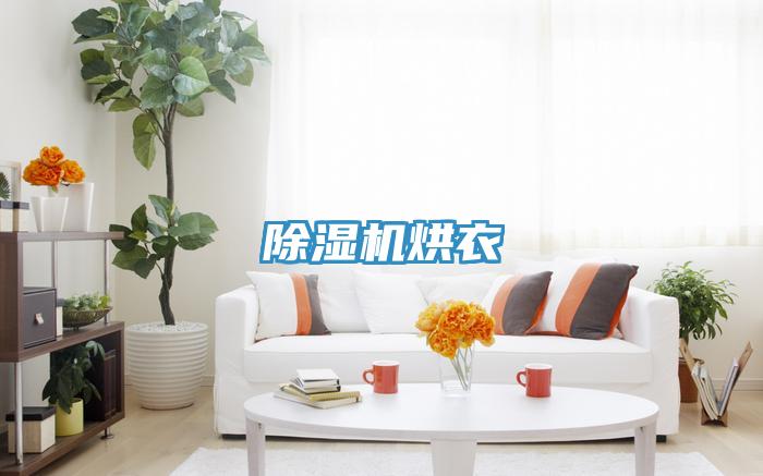 好色先生免费APP烘衣