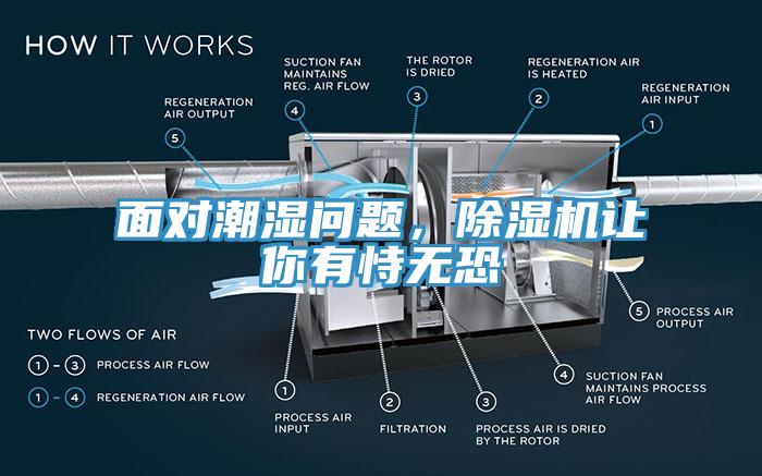 面对潮湿问题，好色先生免费APP让你有恃无恐