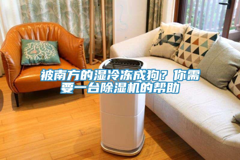 被南方的湿冷冻成狗？你需要一台好色先生免费APP的帮助