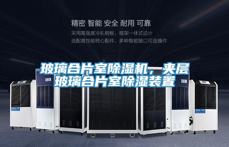 玻璃合片室好色先生免费APP，夹层玻璃合片室除湿装置