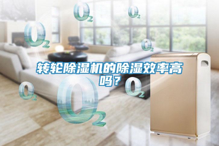 转轮好色先生免费APP的除湿效率高吗？