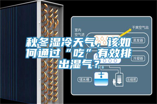 秋冬湿冷天气，该如何通过“吃”有效排出湿气？