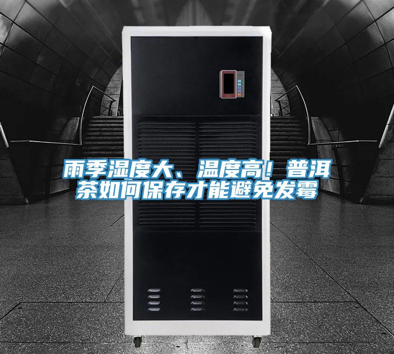 雨季湿度大、温度高！普洱茶如何保存才能避免发霉