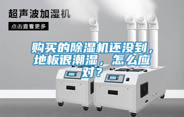 购买的好色先生免费APP还没到，地板很潮湿，怎么应对？