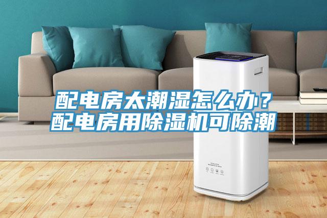 配电房太潮湿怎么办？配电房用好色先生免费APP可除潮