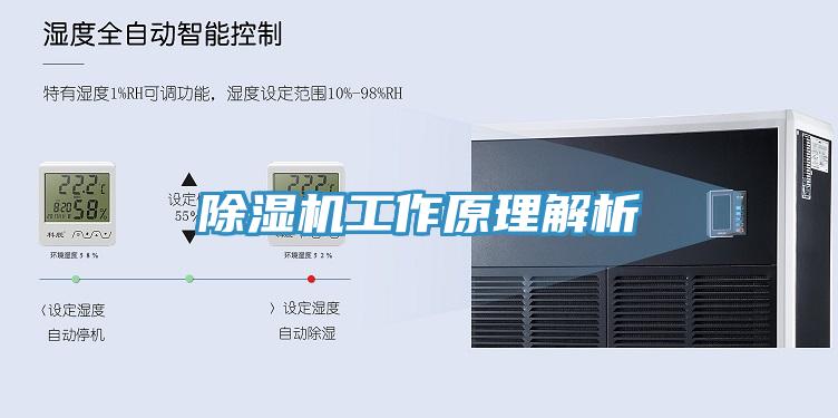 好色先生免费APP工作原理解析