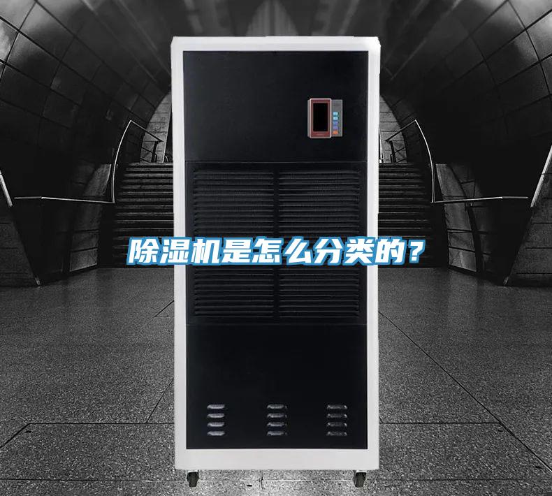 好色先生免费APP是怎么分类的？