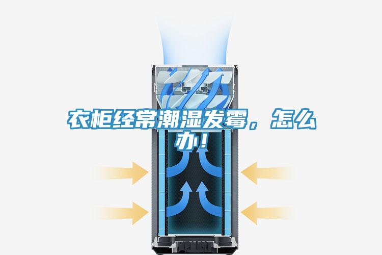 衣柜经常潮湿发霉，怎么办！