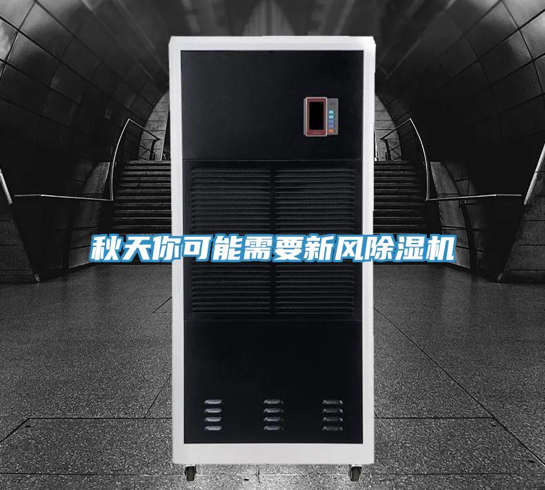 秋天你可能需要新风好色先生免费APP