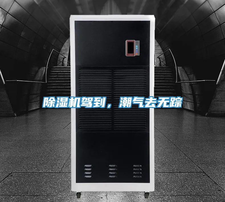 好色先生免费APP驾到，潮气去无踪