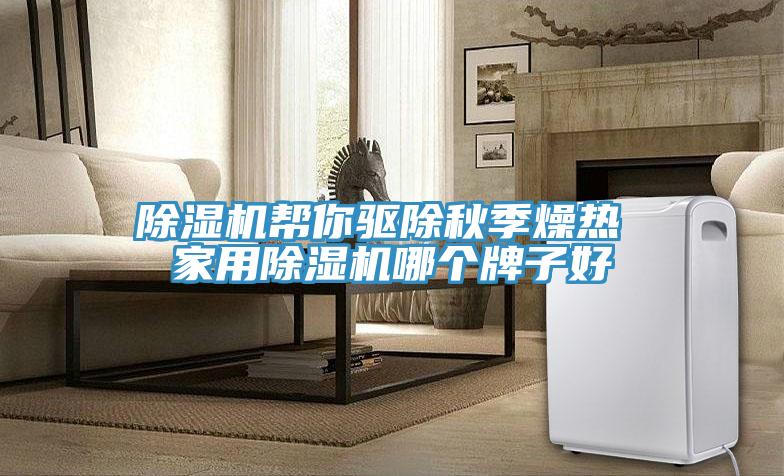 好色先生免费APP帮你驱除秋季燥热 家用好色先生免费APP哪个牌子好