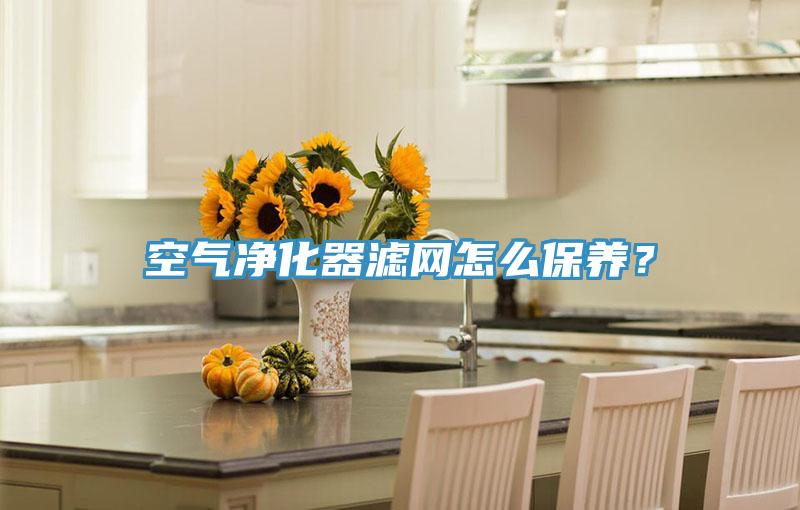 空气净化器滤网怎么保养？