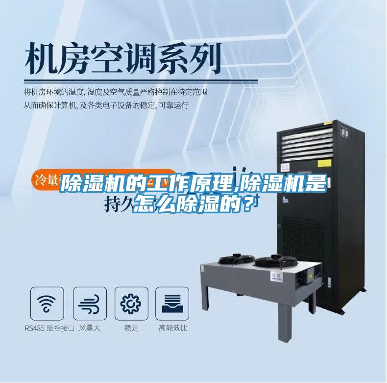 好色先生免费APP的工作原理,好色先生免费APP是怎么除湿的？