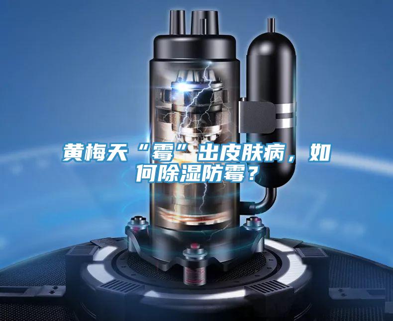 黄梅天“霉”出皮肤病，如何除湿防霉？