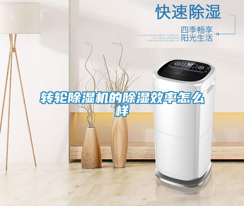 转轮好色先生免费APP的除湿效率怎么样