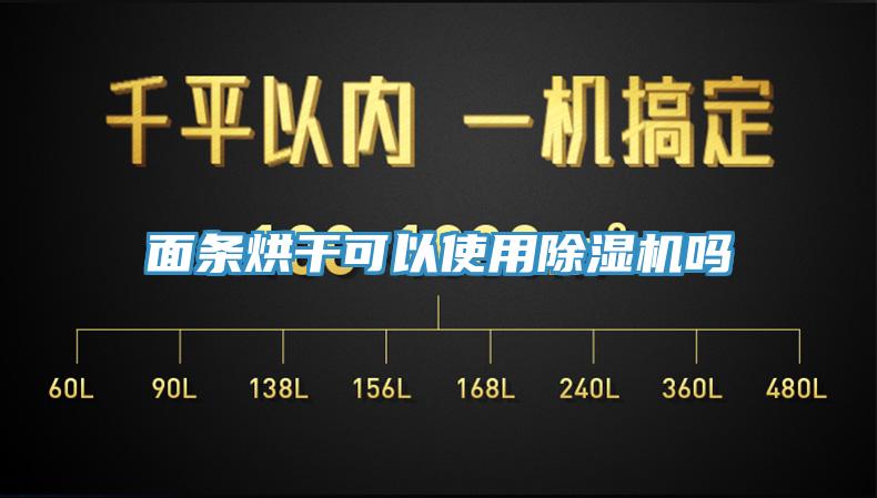 面条烘干可以使用好色先生免费APP吗