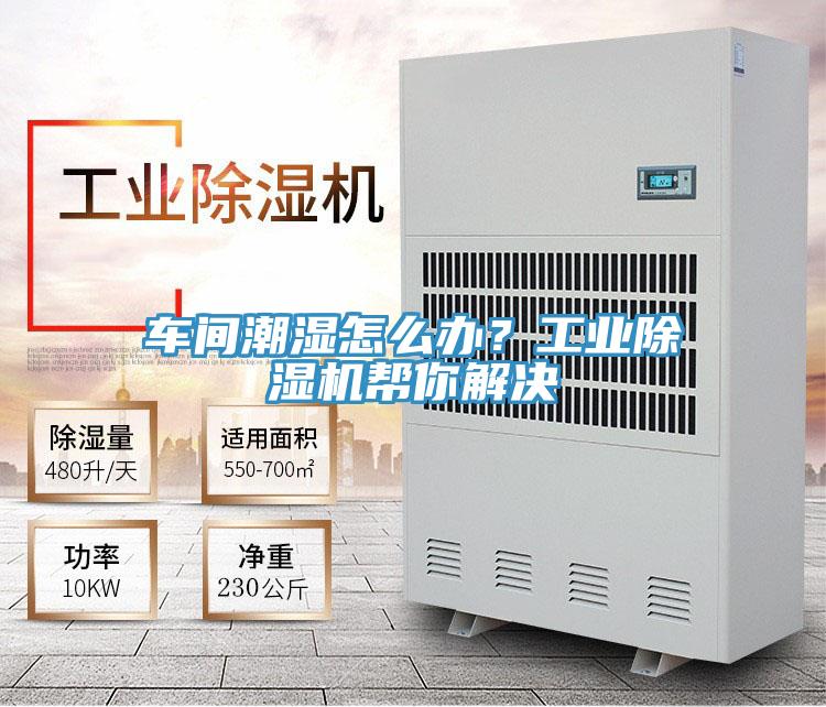 车间潮湿怎么办？工业好色先生免费APP帮你解决