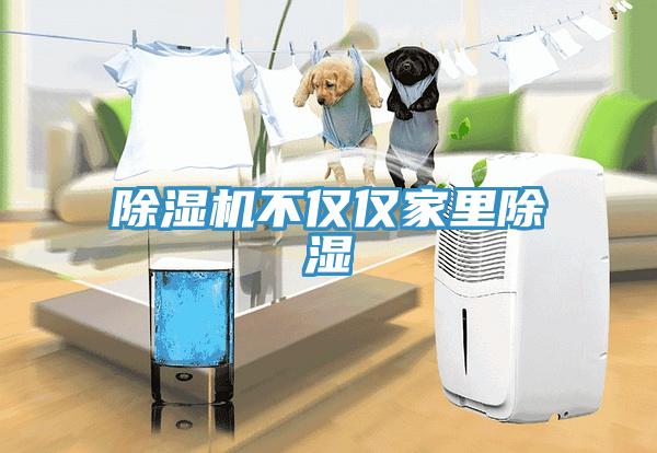 好色先生免费APP不仅仅家里除湿