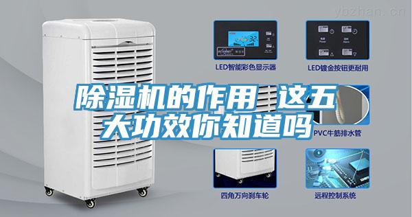 好色先生免费APP的作用 这五大功效你知道吗