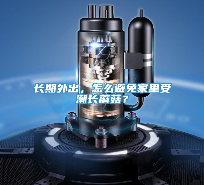 长期外出，怎么避免家里受潮长蘑菇？