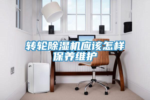 转轮好色先生免费APP应该怎样保养维护
