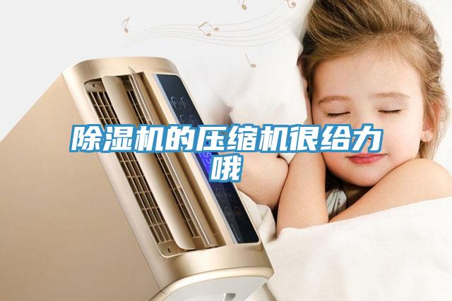 好色先生免费APP的压缩机很给力哦